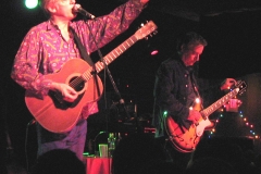 Robyn Hitchcock