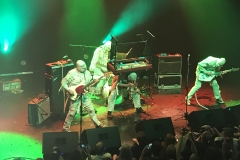 The Mummies