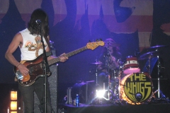 The Whigs