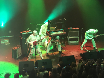 The Mummies